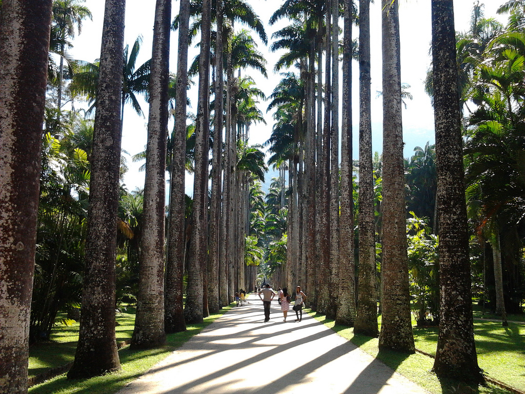 Aleia_Barbosa_Rodrigues,_no_Jardim_Botânico_do_Rio_de_Janeiro_-_Brasil